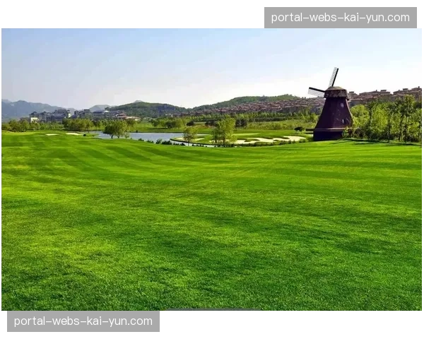 波尔多主场草坪将采用新型混合草种，应对密集赛程